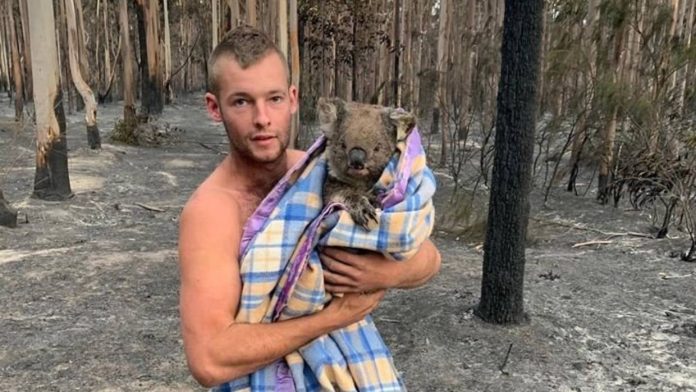 Jovem enfrenta o fogo e salva 9 coalas na Austrália: ‘Só quero ajudar esses animais’